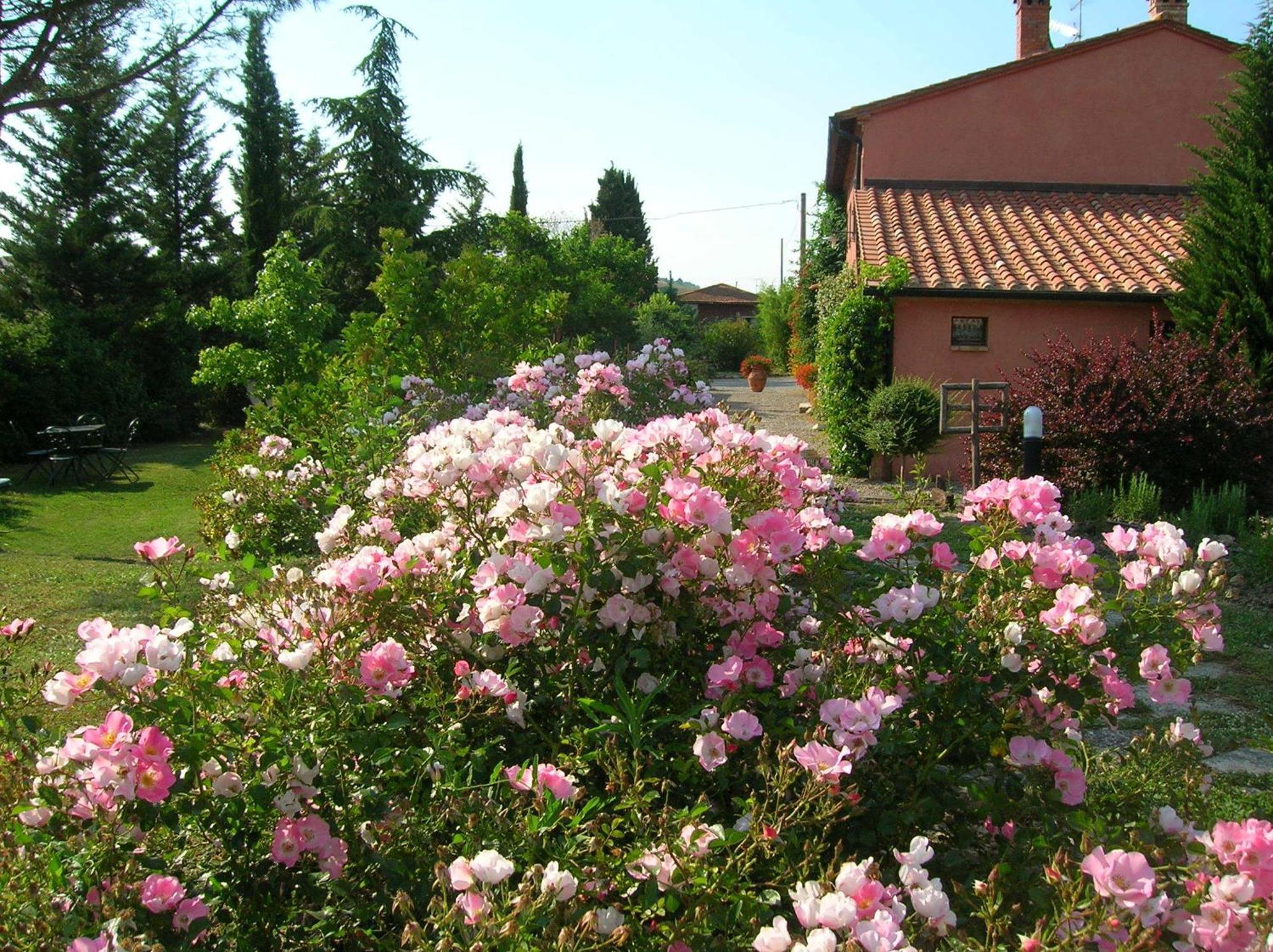 Campiglia dʼOrcia Sant'Alberto מראה חיצוני תמונה
